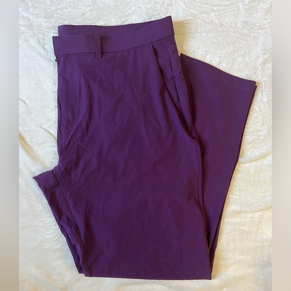 Men’s Fabletics Pants